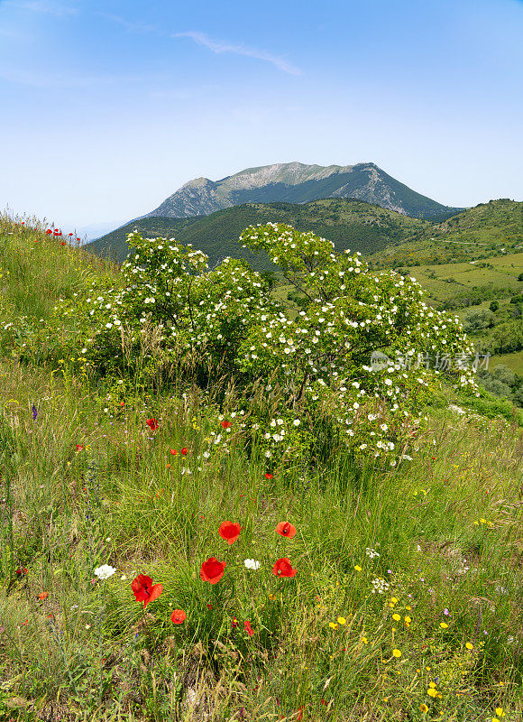 意大利Campo di Giove Abruzzo的山峰景观